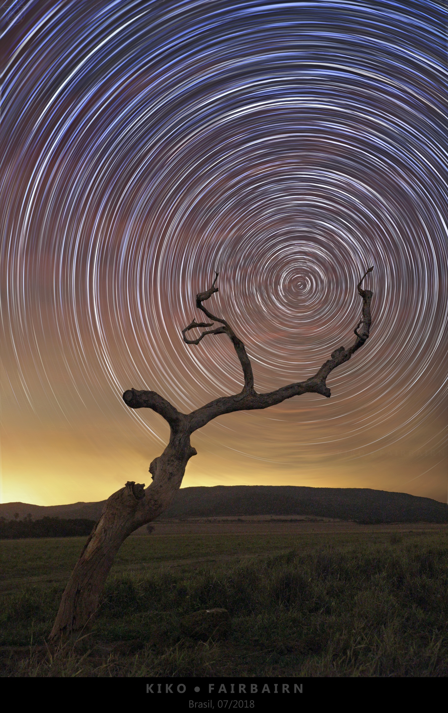 APOD: 2026 April 16 – South Celestial Tree