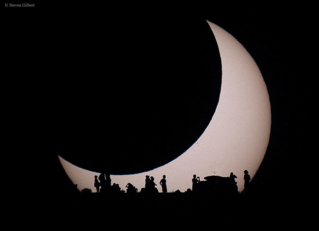 APOD: 2026 August 9 – Contemplating the Sun – NASA Science APOD: 2026 August 9 – Contemplating the Sun – NASA Science