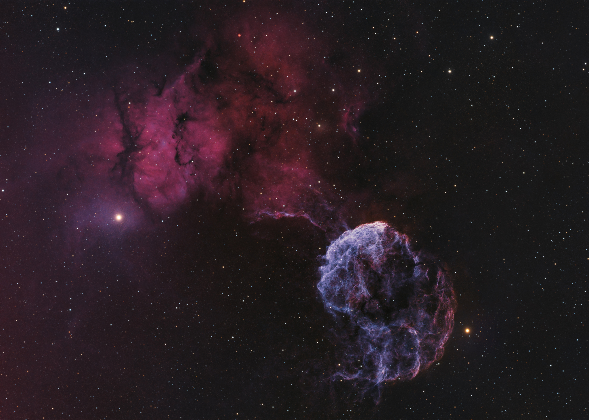 APOD: 2026 February 27 – Sharpless 249 and the Jellyfish Nebula
