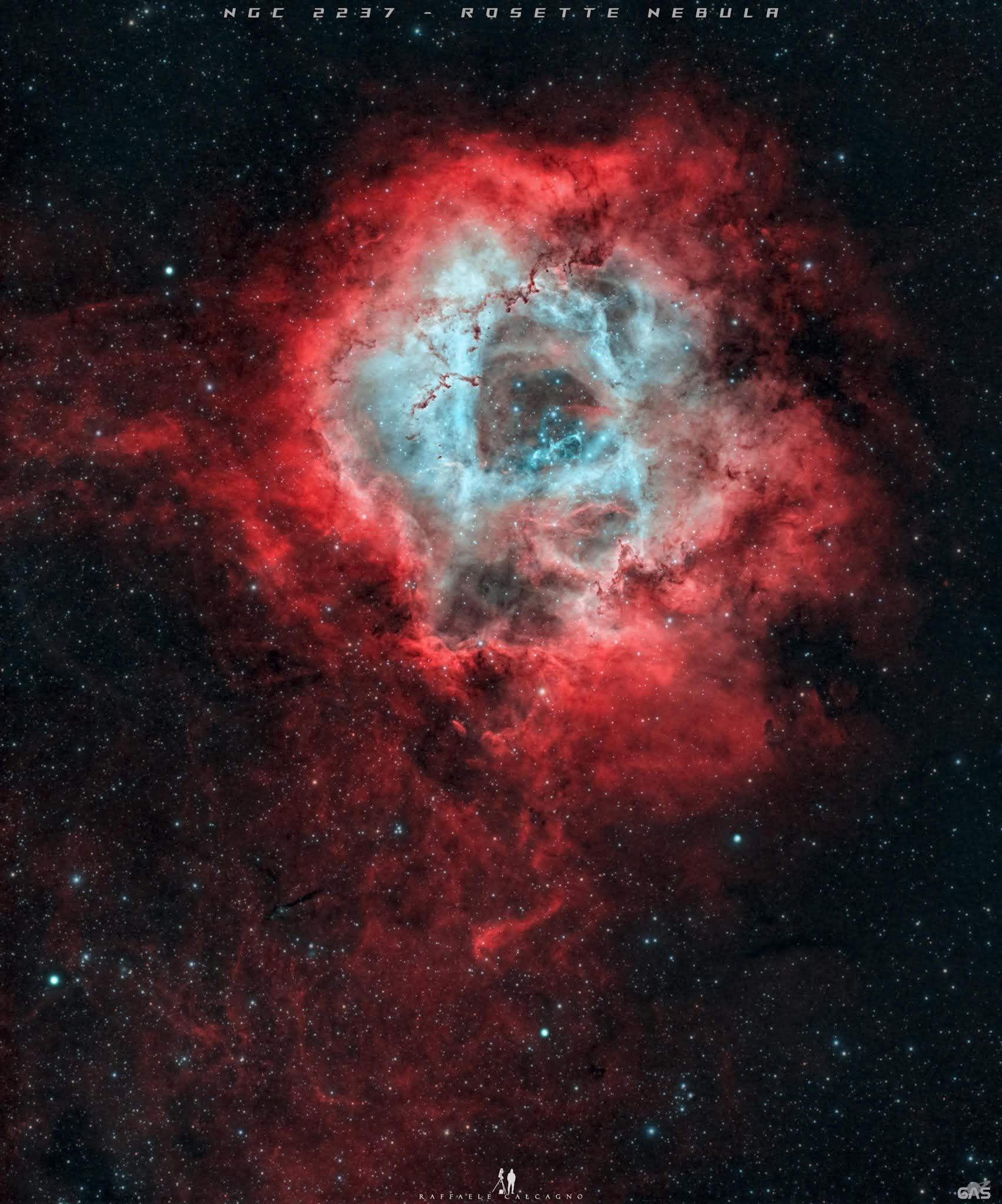 APOD: 2026 February 14 – Roses are Red