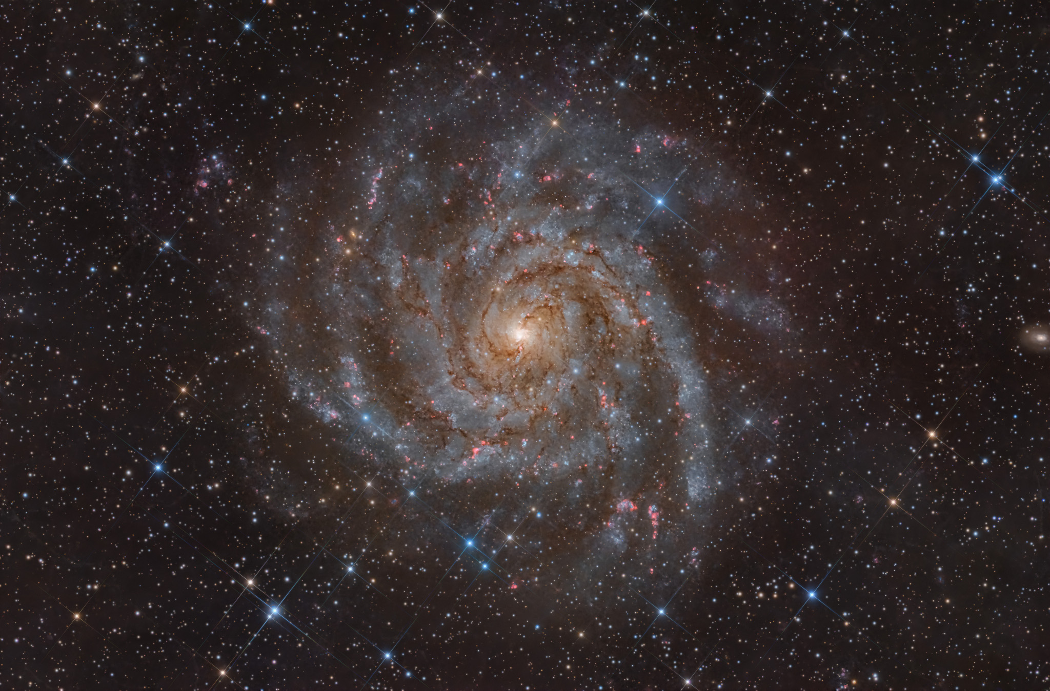 APOD: 2026 January 8 – IC 342: Hidden Galaxy in Camelopardalis