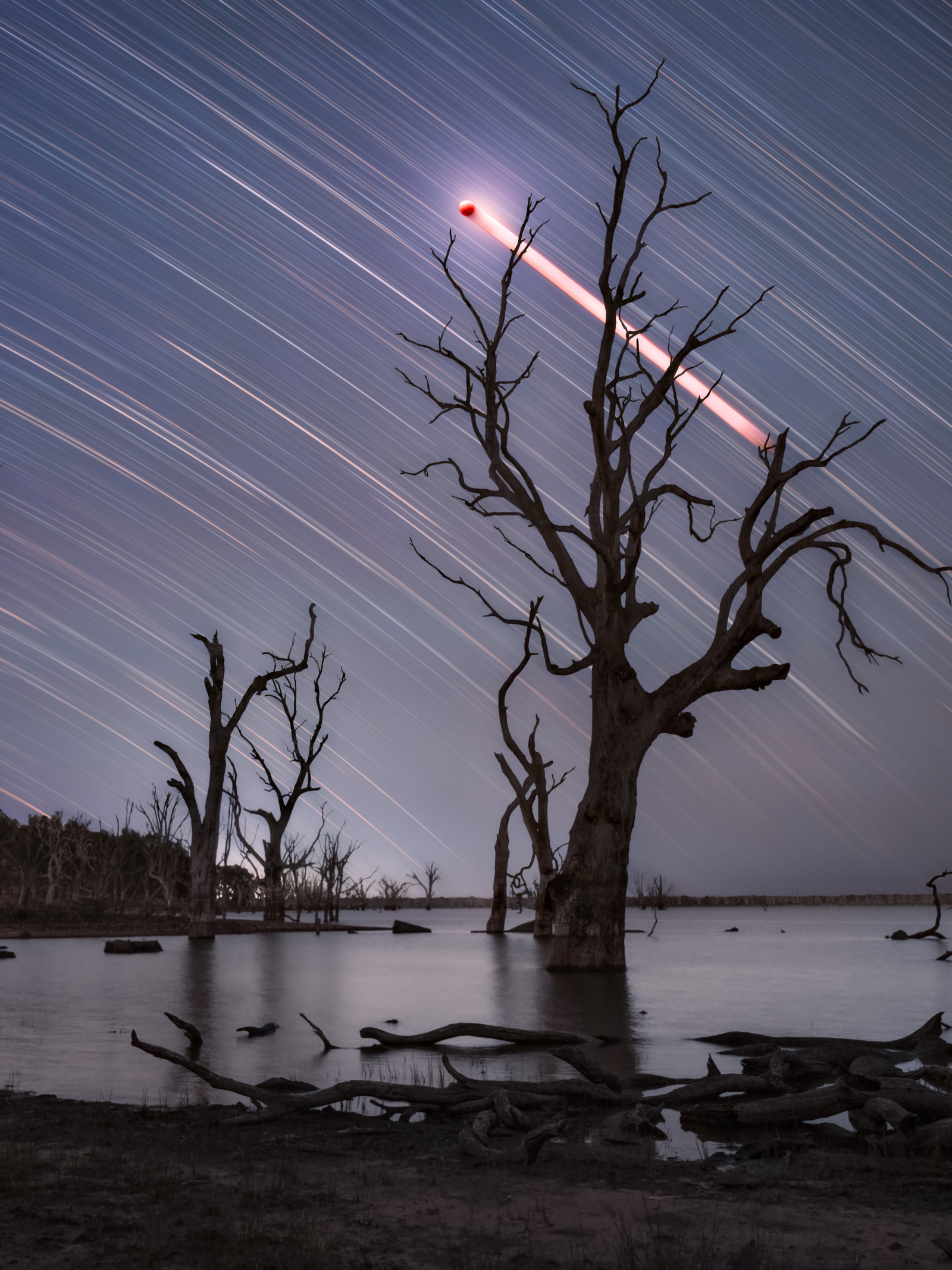 APOD: 2026 March 13 – Toolondo Totality Trails