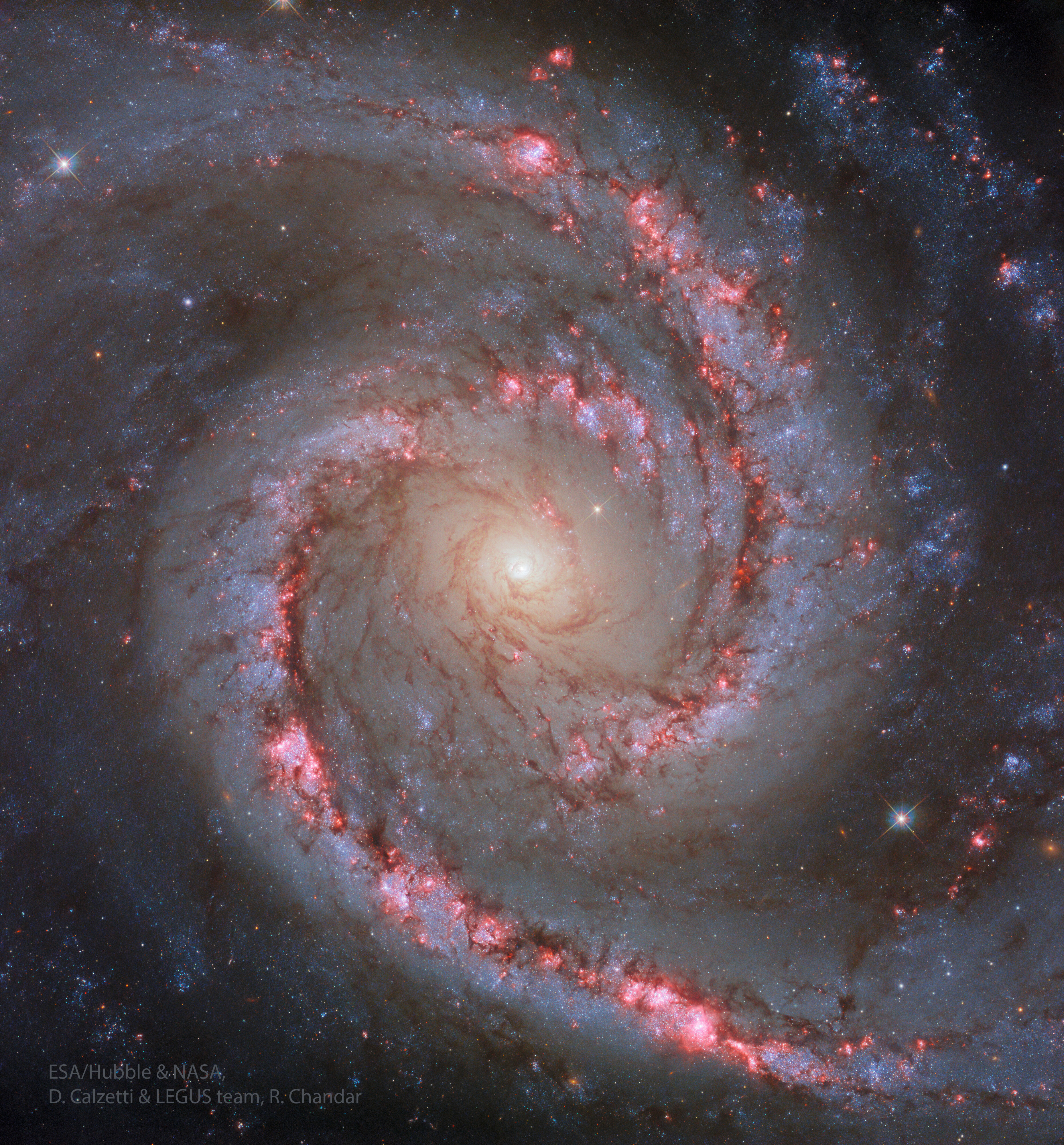 APOD: 2026 March 16 – NGC 1566: The Spanish Dancer Galaxy