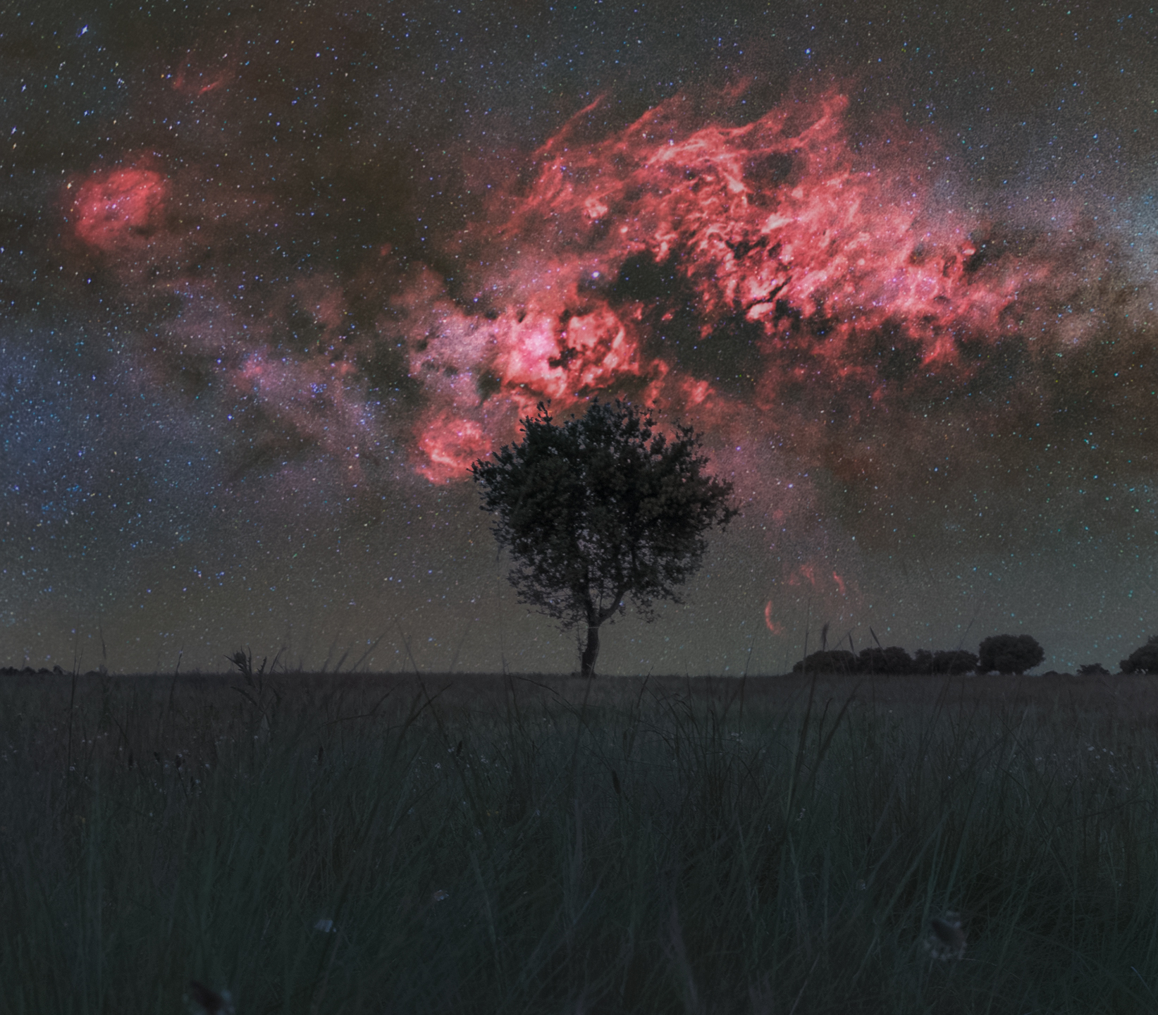 APOD: 2026 March 18 – Cygnus and the Solitary Tree