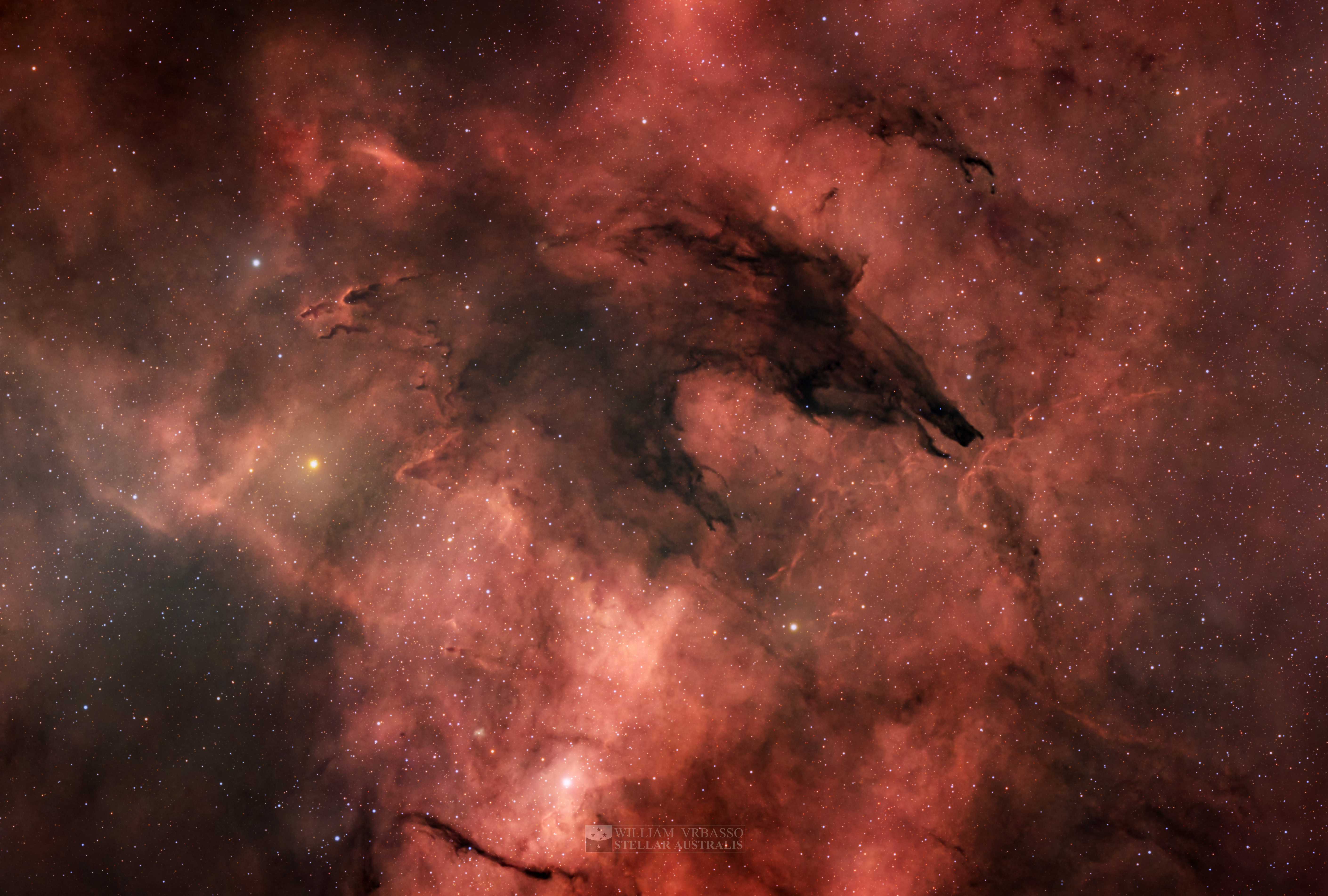APOD: 2026 May 20 – The Dark Wolf Nebula