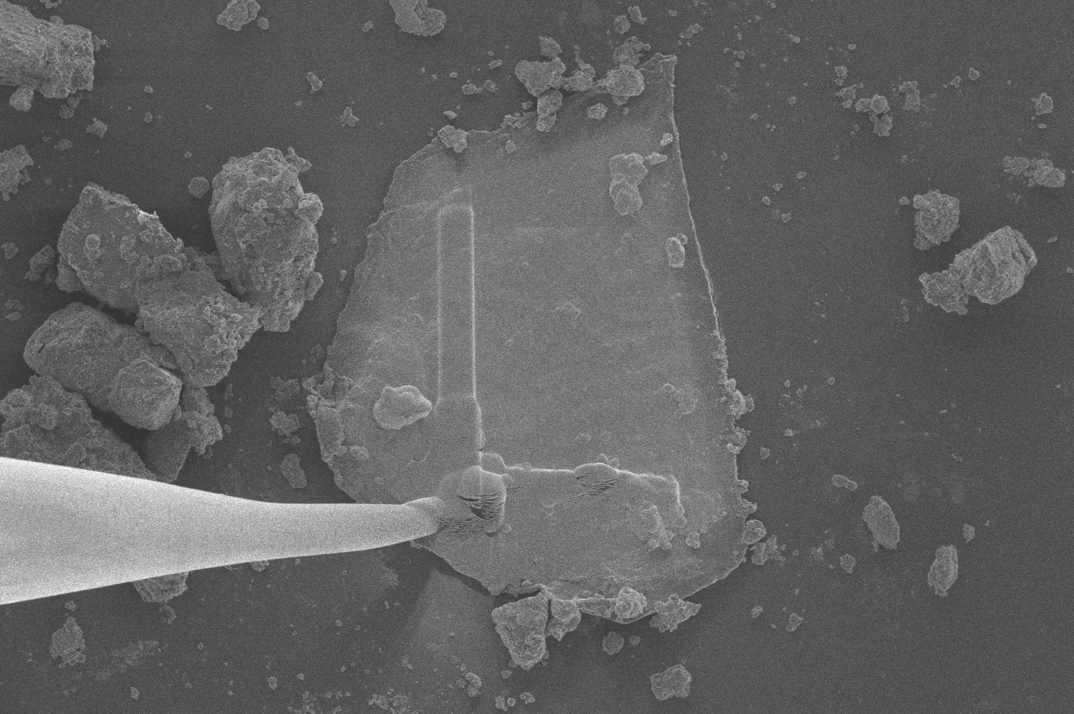 Una partícula microscópica del asteroide Bennu, traída a la Tierra por la misión OSIRIS-REx de la NASA, es manipulada bajo un microscopio electrónico de transmisión. Para mover el fragmento para su posterior análisis, los investigadores primero lo reforzaron con tiras delgadas de platino (la figura en forma de “L” en la superficie de la partícula) y luego le soldaron una microaguja de tungsteno. El fragmento del asteroide mide 30 micrómetros (aproximadamente una milésima de pulgada) de ancho.
