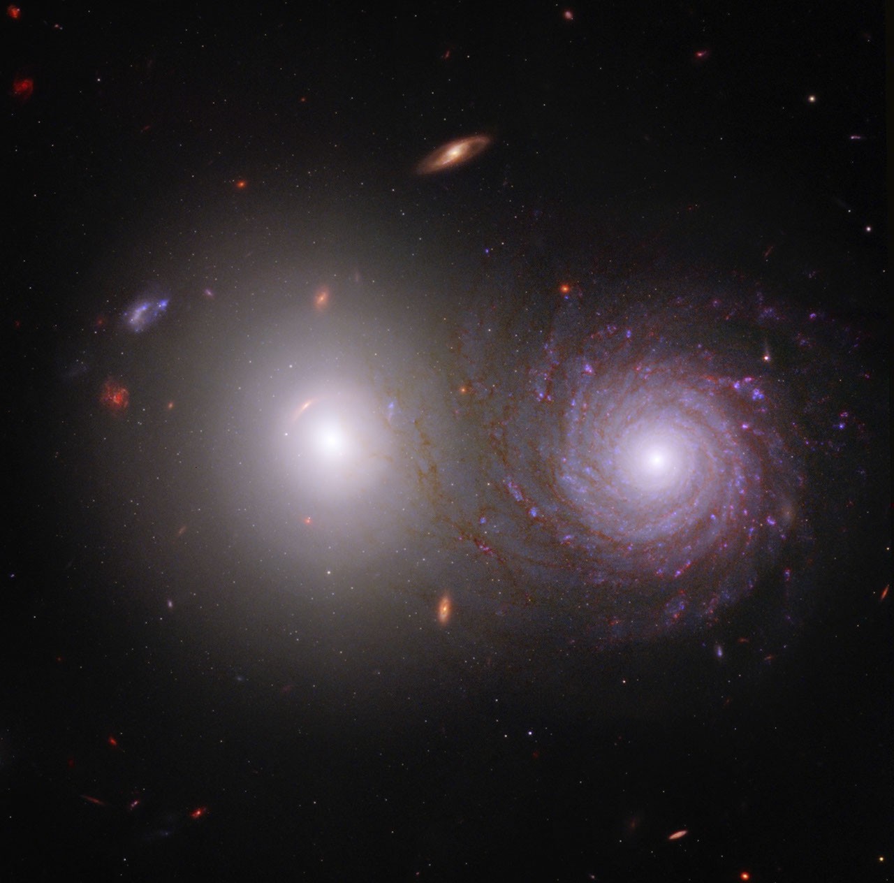 Help Overlap Zoo Reveal Cosmic Dust
