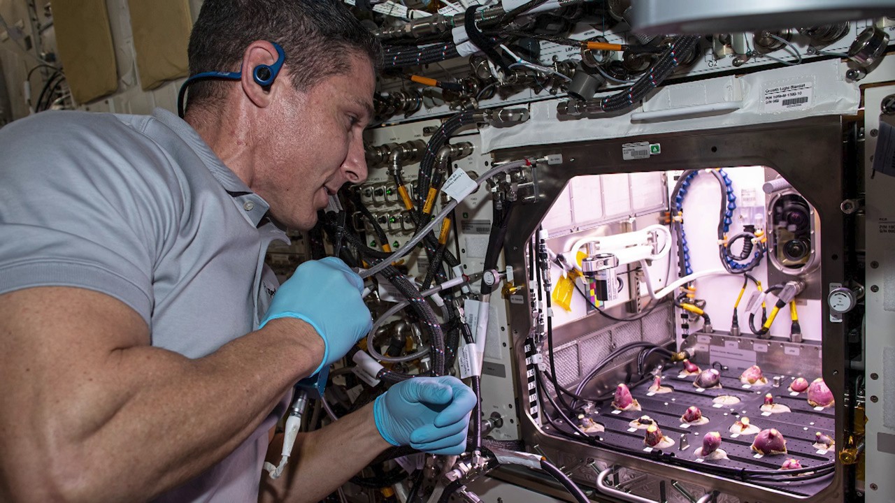 Our World: Systems to Grow Plants in Space - NASA Science