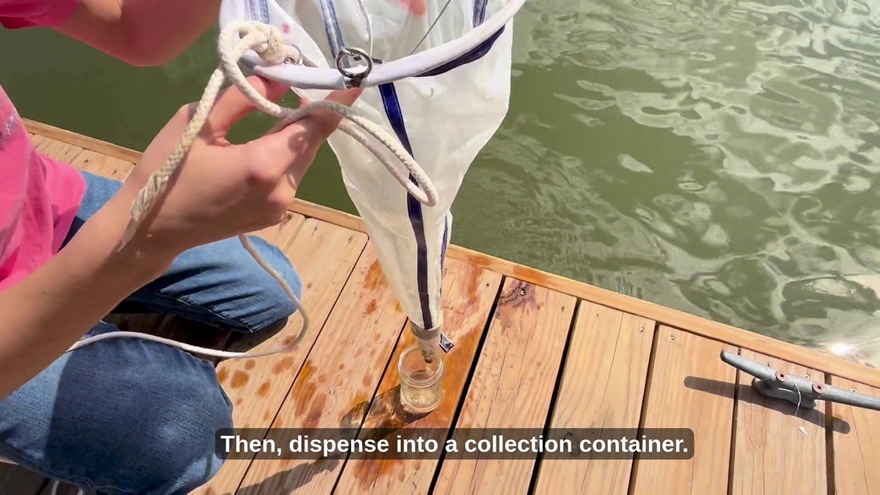 Spotlite: Where can you find phytoplankton? | Elegant Figures