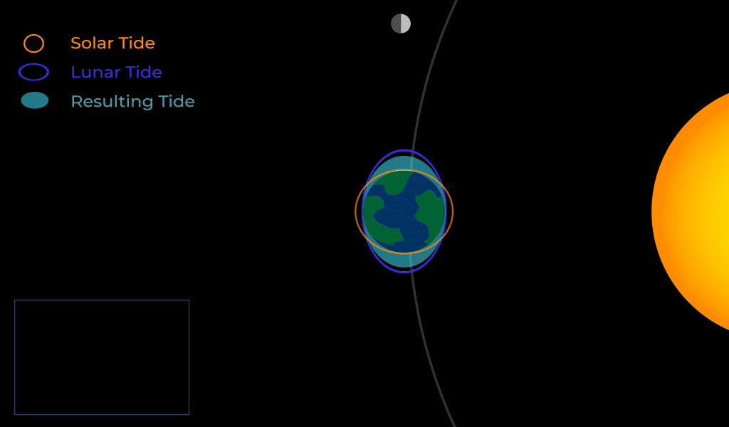 Animation depicting the combined effects of the Sun and Moon's gravity on Earth's tides. When Sun, Earth, and Moon are in a line, the tidal influences add up, creating higher highs and lower lows. When the Sun and Moon are at right angles relative to Earth, the tides are less pronounced.