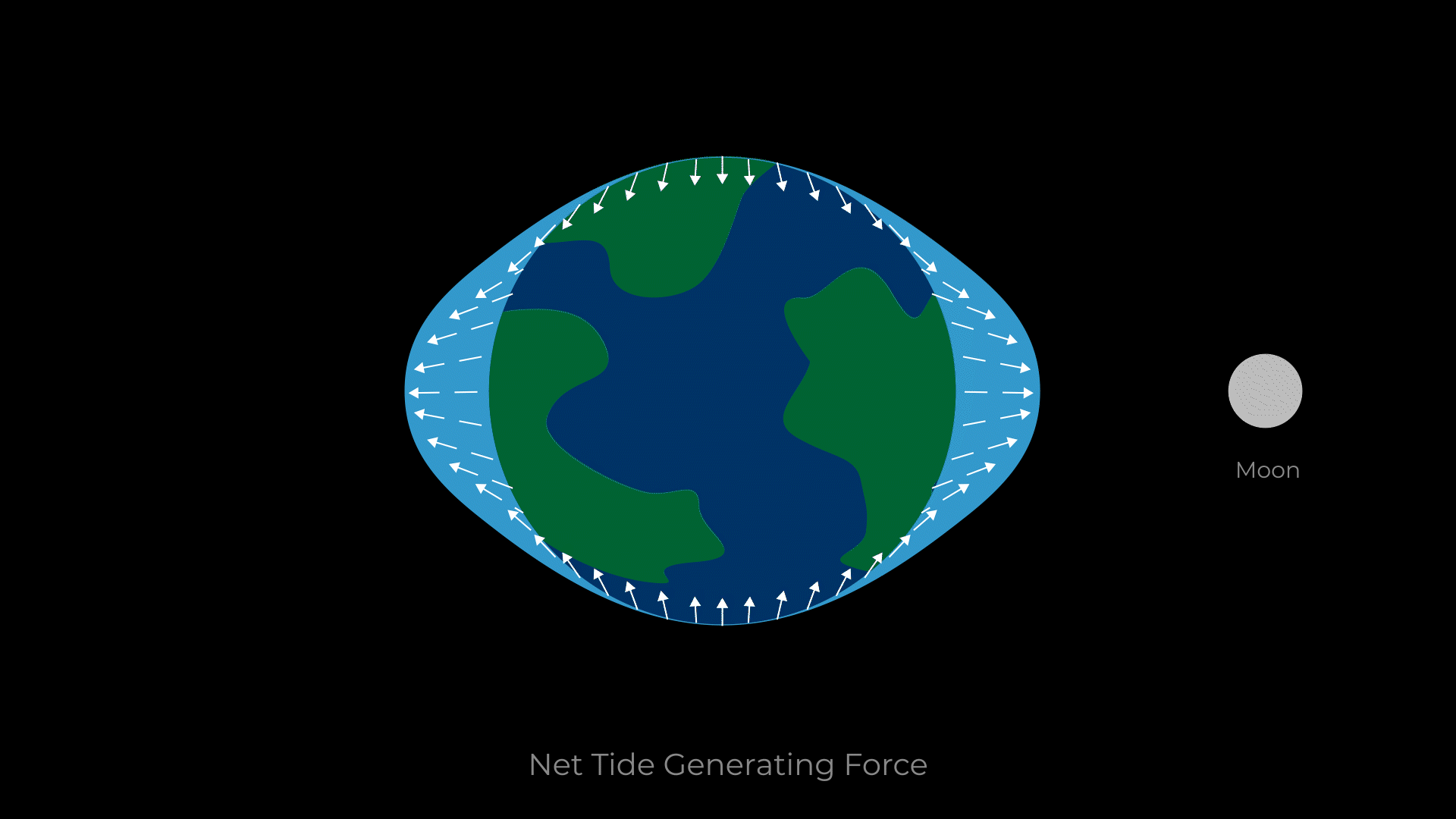 Animation depicting a sum of forces, shown as arrows, pushing Earth's oceans out on the sides closest to and farthest from the Moon, and pulling the ocean in at the points in between the two bulges.