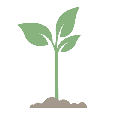 Animation of water flowing up through a plant's stem.