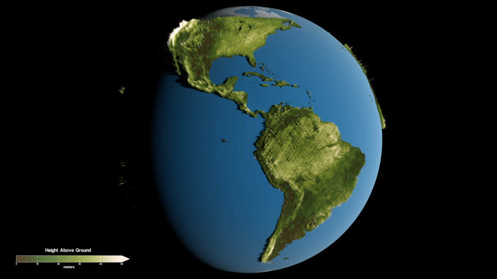 Still image depicting a global view of GEDI forest height data.