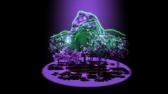 New NASA probe will study Earth's forests in 3D - NASA Science