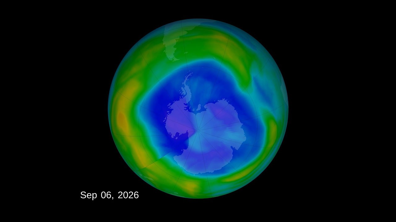 Antarctic polar maps showing total ozone fields centered on Antarctica for 6 September 2026.
