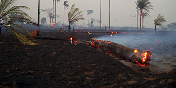 Photograph of smoke and smouldering logs in Acre, Brazil