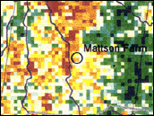 NDVI anomaly at the Mattson Farm.