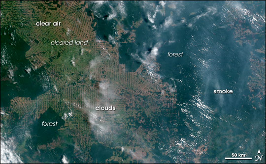 Satellite picture of smoke and clouds covering the Amazon Rainforest