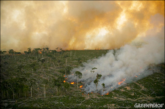 Aerial photograph of agricultural fires burning in the Amazon rainforest.