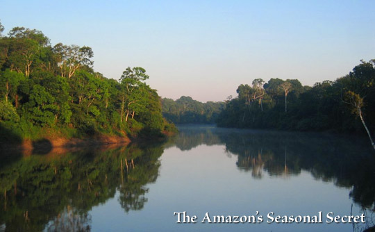 The Amazon's Seasonal Secret