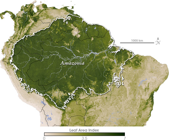 Satellite map of Leaf Area Index in the Amazon
