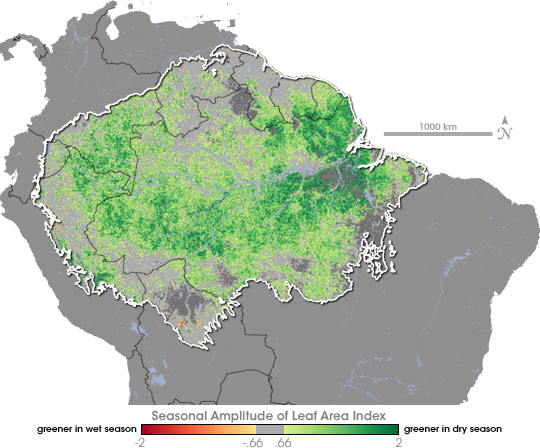 Map of seasonal amplitude of leaf area index in the Amazon.