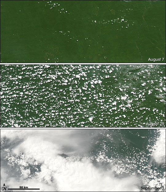 Satellite images of the progress from dry season to wet season in the Amazon.