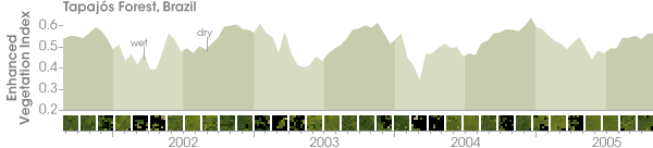 Graph of season variability of vegetation in the Amazon showing the increase in greeness during the dry season.