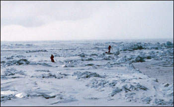 Photograph of Sea Ice