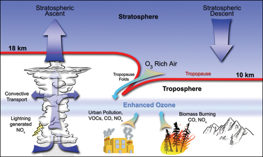 The sources of tropospheric ozone