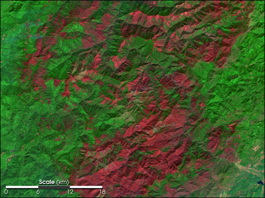 Landsat Image of Biscuit Fire