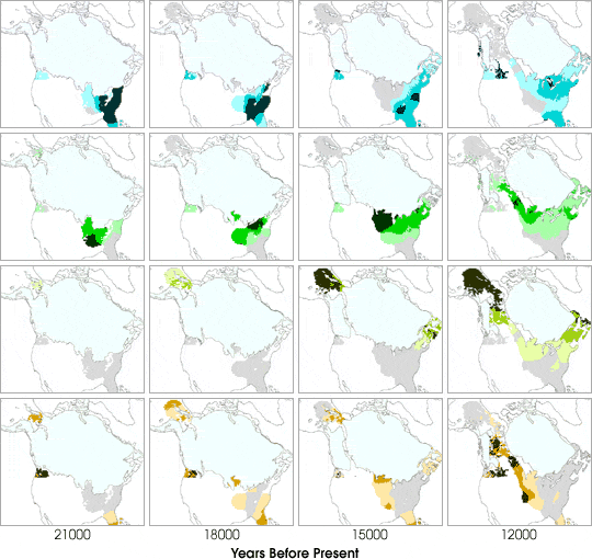 Images of Species Distribution in
the Boreal Forest over Time