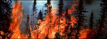What Fire Rise Evolving in the Presence of Fire - NASA Science