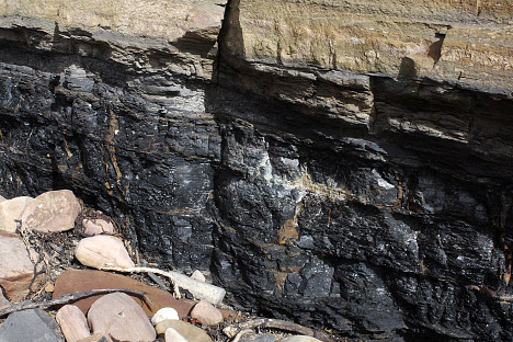Photograph of a coal seam near Fife, Scotland.