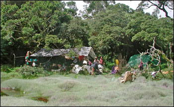 Photograph of field camp in the Madagascan forest