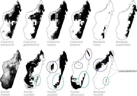 Maps of predicted species distribution and areas of overprediction