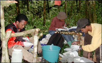 Photograph of survey team at work in Madagascar