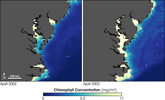 Maps of Chlorophyll Concentration, April 2002 and April 2003