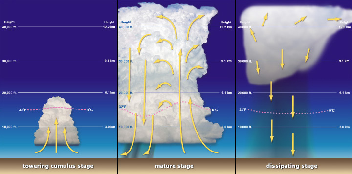 Diagram showing convection within a thunderstorm as it forms.
