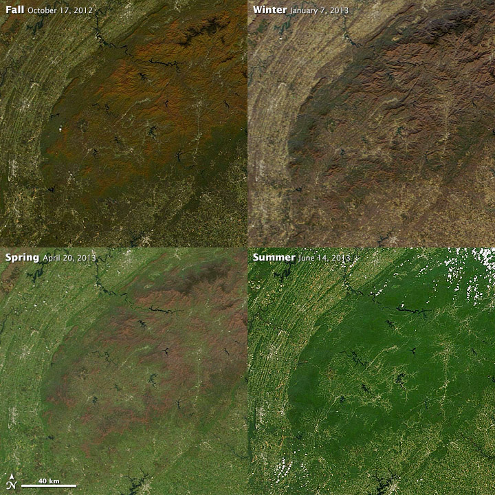 4 satellite images showing seasonal changes in temperate climates.