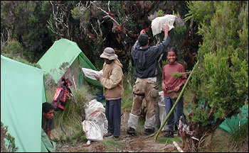 Photograph of Field Camp in Madagascar