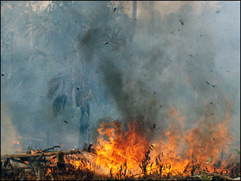 Photograph of Indonesian Forest Fire 