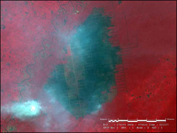 Image of Fires and Plantation in Sumatra