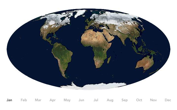 Global map showing seasonal changes in green vegetation and snow cover