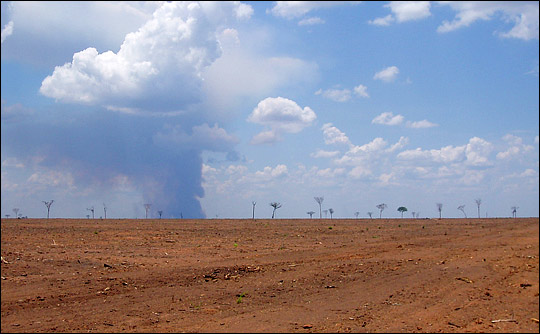 Photograph of industrial deforestation in Brazil
