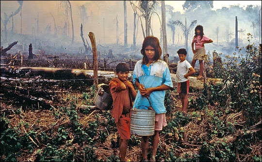 Photograph of Brazilian children standing in a recently burned field.