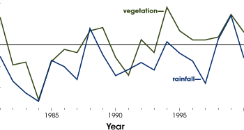 Graph comparing vegetation to rainfall in the Sahel from 1981 to 2000.
