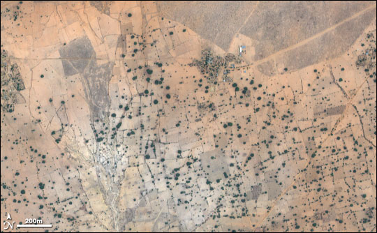 Ikonos high-resolution satellite image of Mali