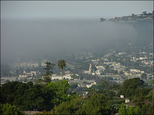 California fog