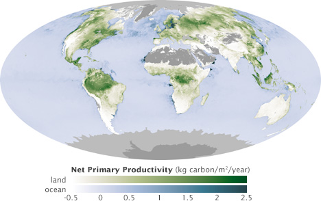 Map of global net primary productivity for the first week in July, 2003.